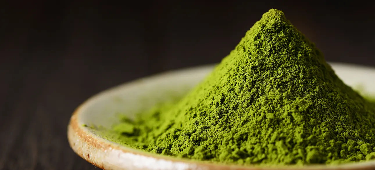 Opti-Greens 50 Review: Does This Greens Powder Live Up to the Hype?