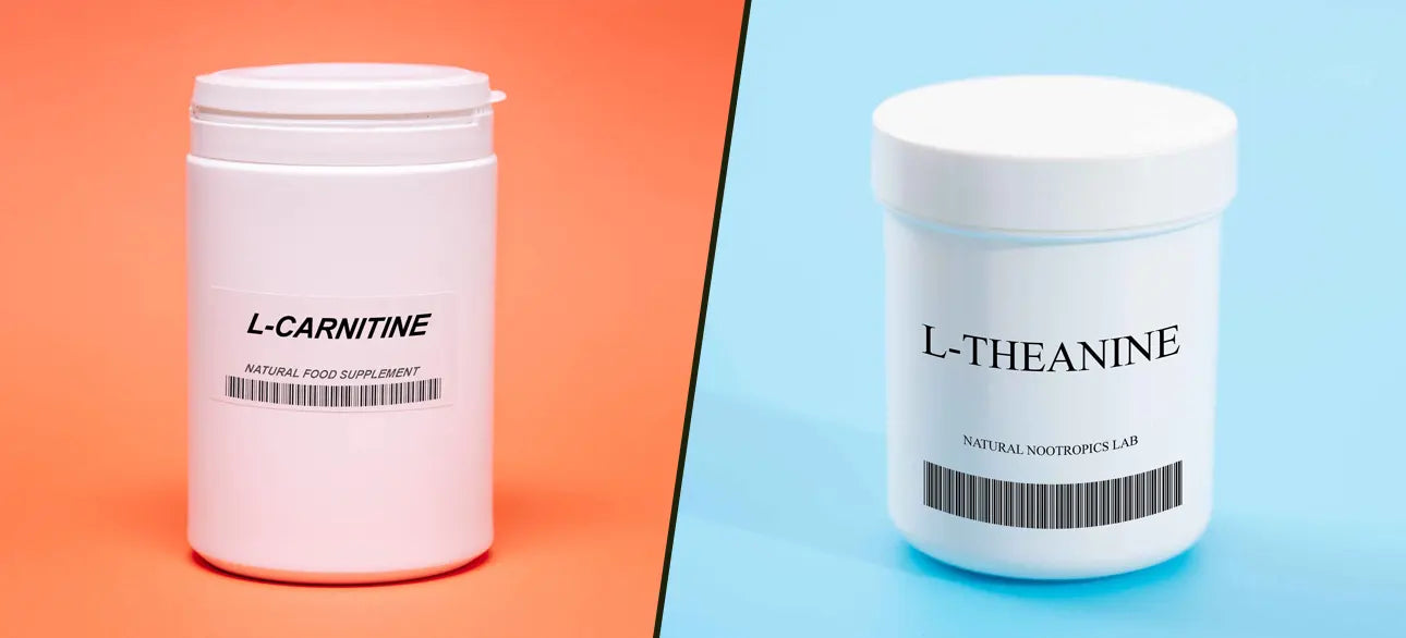 L-theanine vs L-carnitine