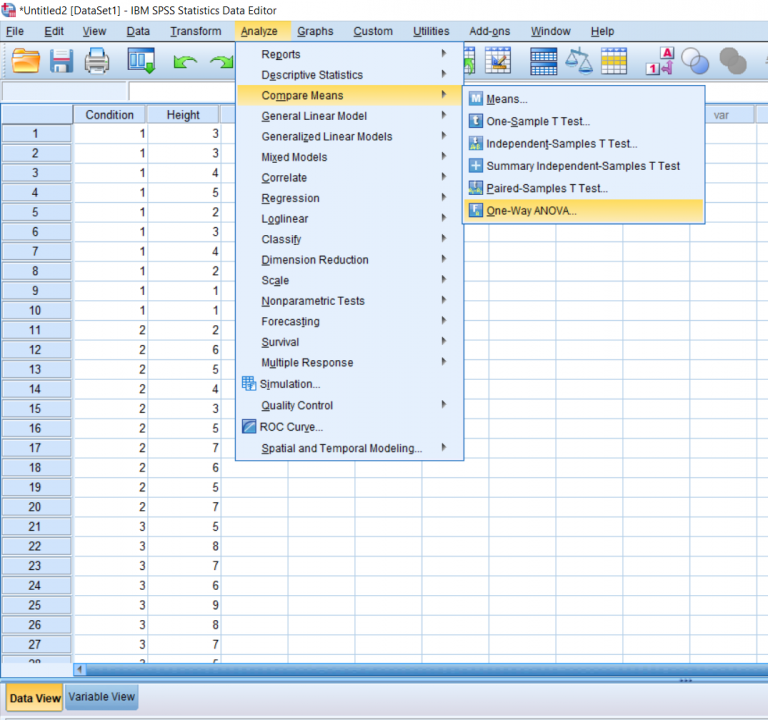Screenshot of SPSS document