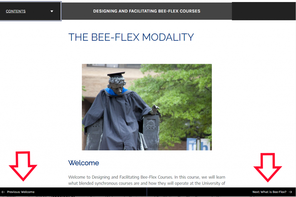 Screenshot showing the Previous and Next buttons in the lower corners