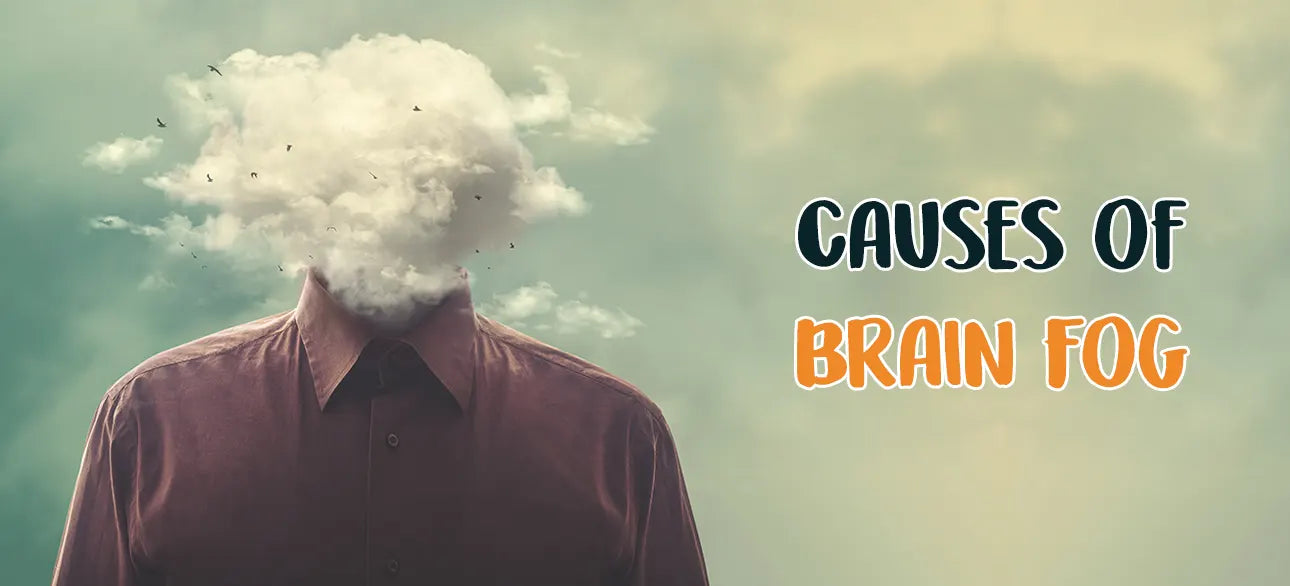 Possible Causes of Brain Fog