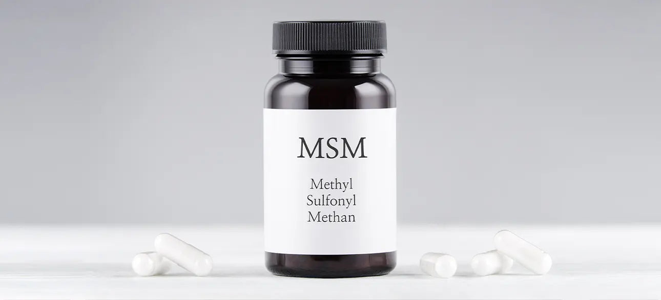  MSM Supplements
