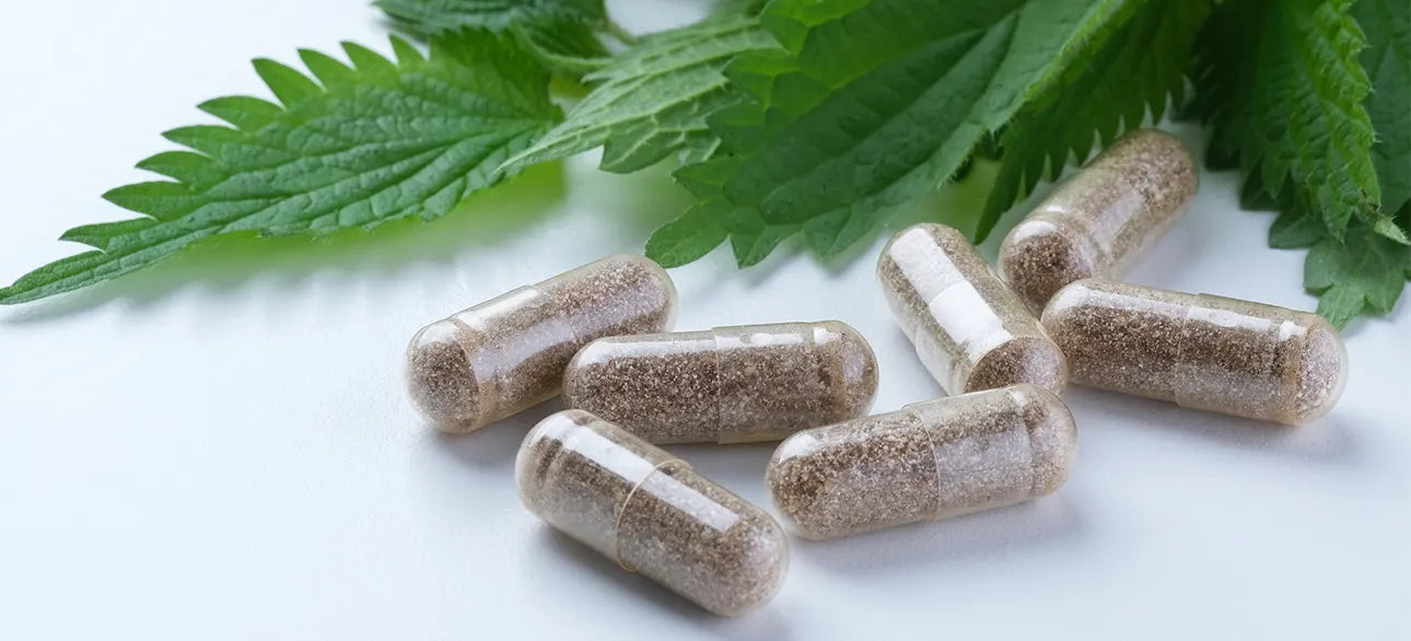 Neuriva Review: Support for Memory, Focus, and Concentration